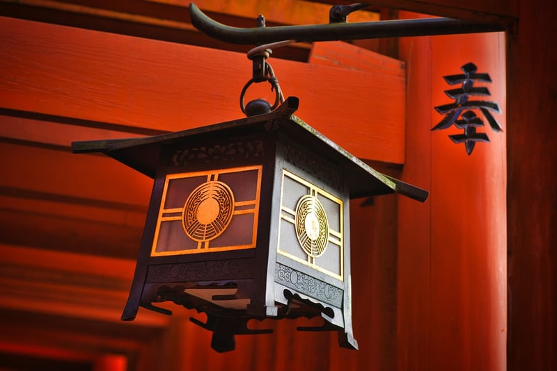 Tropical Lanterns