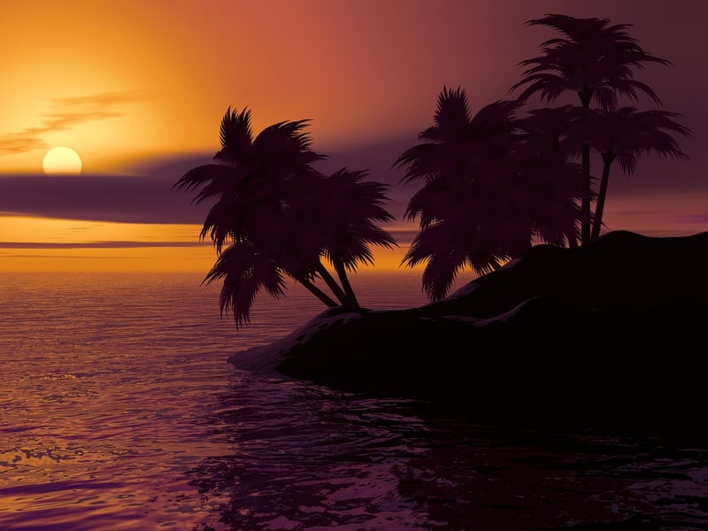Tropical Palm Trees